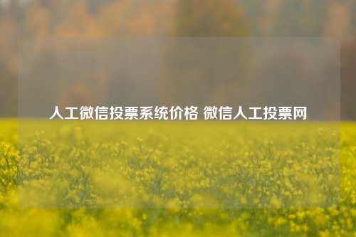 人工微信投票系统价格 微信人工投票网