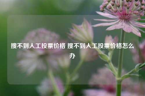 搜不到人工投票价格 搜不到人工投票价格怎么办