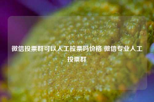 微信投票群可以人工拉票吗价格 微信专业人工投票群