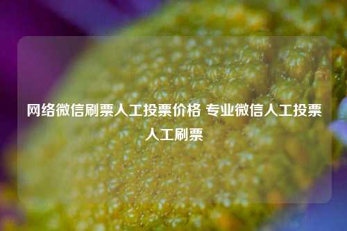 网络微信刷票人工投票价格 专业微信人工投票人工刷票