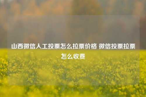 山西微信人工投票怎么拉票价格 微信投票拉票怎么收费