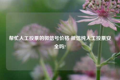 帮忙人工投票的微信号价格 微信纯人工投票安全吗?