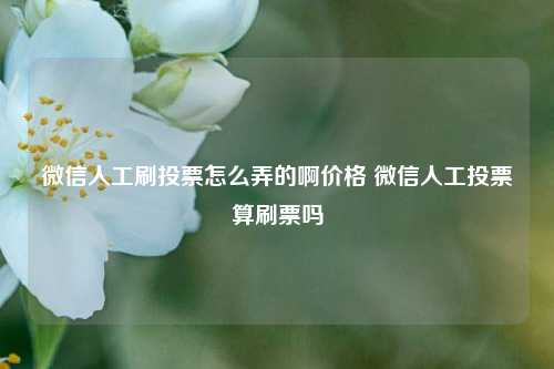 微信人工刷投票怎么弄的啊价格 微信人工投票算刷票吗