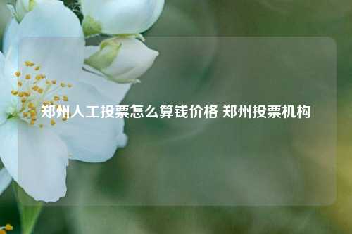 郑州人工投票怎么算钱价格 郑州投票机构