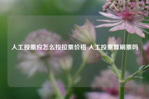 人工投票应怎么投拉票价格 人工投票算刷票吗