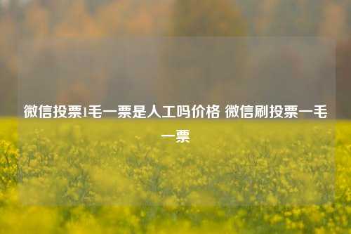 微信投票1毛一票是人工吗价格 微信刷投票一毛一票