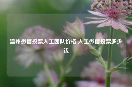 温州微信投票人工团队价格 人工微信投票多少钱