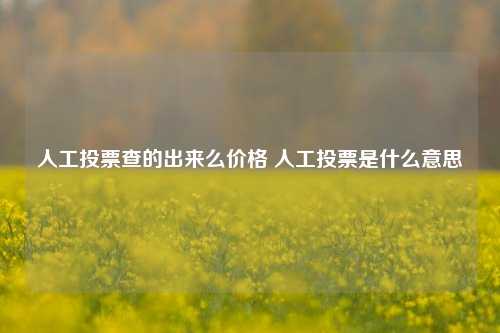 人工投票查的出来么价格 人工投票是什么意思