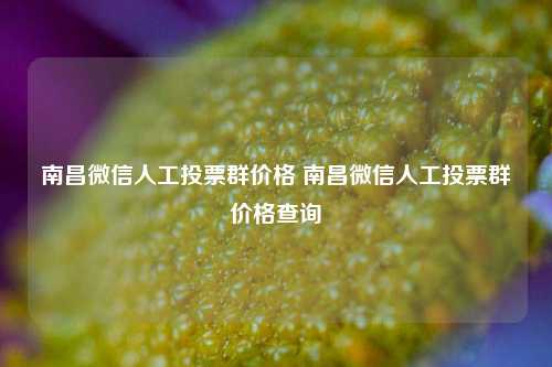 南昌微信人工投票群价格 南昌微信人工投票群价格查询