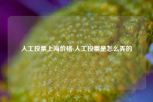 人工投票上海价格 人工投票是怎么弄的