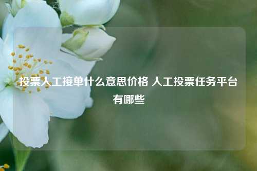 投票人工接单什么意思价格 人工投票任务平台有哪些