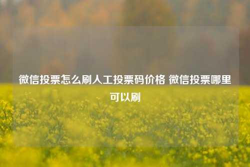 微信投票怎么刷人工投票码价格 微信投票哪里可以刷