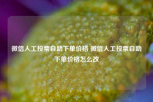 微信人工投票自助下单价格 微信人工投票自助下单价格怎么改