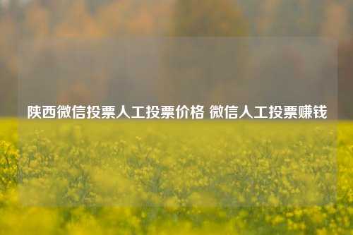 陕西微信投票人工投票价格 微信人工投票赚钱