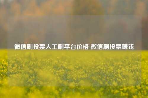 微信刷投票人工刷平台价格 微信刷投票赚钱