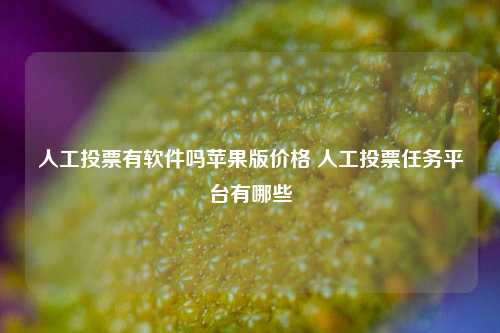 人工投票有软件吗苹果版价格 人工投票任务平台有哪些