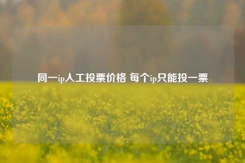 同一ip人工投票价格 每个ip只能投一票