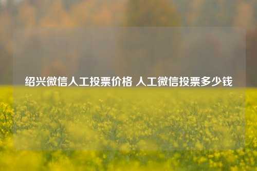 绍兴微信人工投票价格 人工微信投票多少钱