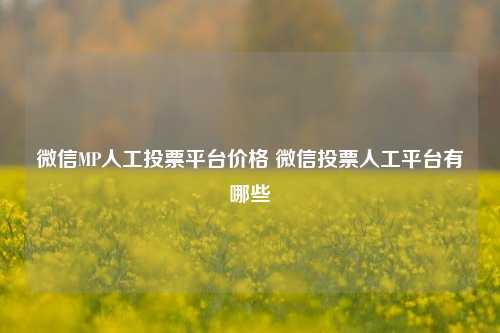 微信MP人工投票平台价格 微信投票人工平台有哪些