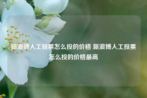 新浪博人工投票怎么投的价格 新浪博人工投票怎么投的价格最高