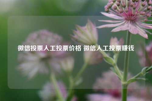 微信投票人工投票价格 微信人工投票赚钱