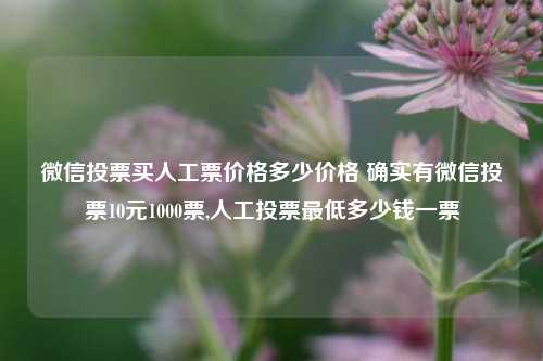 微信投票买人工票价格多少价格 确实有微信投票10元1000票,人工投票最低多少钱一票