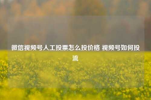 微信视频号人工投票怎么投价格 视频号如何投流