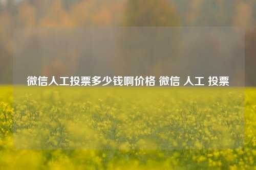 微信人工投票多少钱啊价格 微信 人工 投票