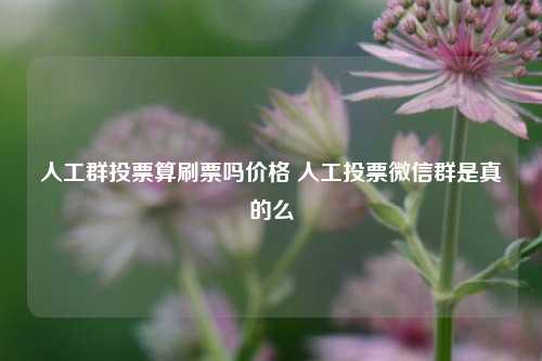 人工群投票算刷票吗价格 人工投票微信群是真的么