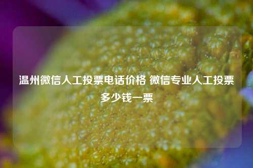 温州微信人工投票电话价格 微信专业人工投票多少钱一票