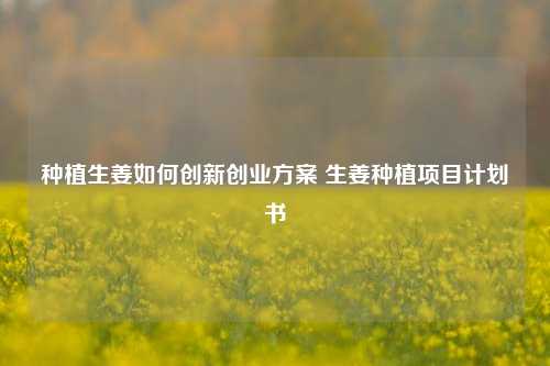 种植生姜如何创新创业方案 生姜种植项目计划书