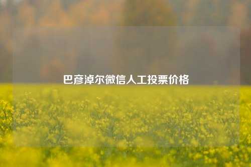 巴彦淖尔微信人工投票价格