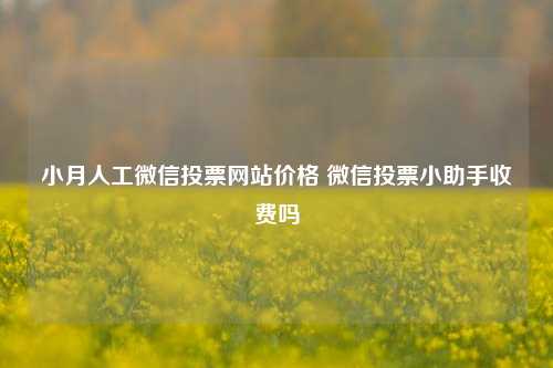 小月人工微信投票网站价格 微信投票小助手收费吗