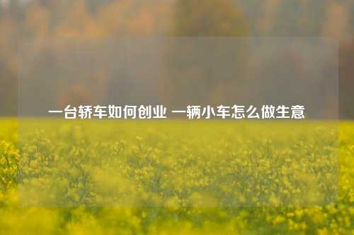 一台轿车如何创业 一辆小车怎么做生意