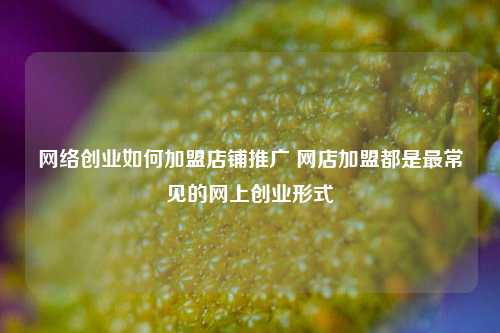 网络创业如何加盟店铺推广 网店加盟都是最常见的网上创业形式