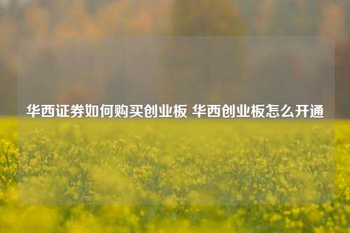 华西证券如何购买创业板 华西创业板怎么开通