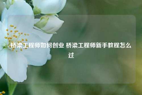 桥梁工程师如何创业 桥梁工程师新手教程怎么过