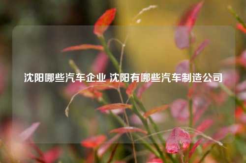 沈阳哪些汽车企业 沈阳有哪些汽车制造公司