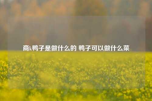 商k鸭子是做什么的 鸭子可以做什么菜