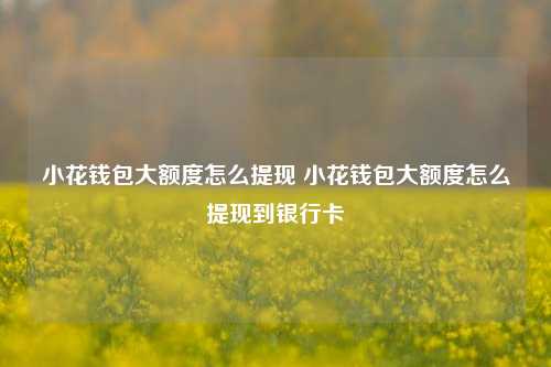 小花钱包大额度怎么提现 小花钱包大额度怎么提现到银行卡