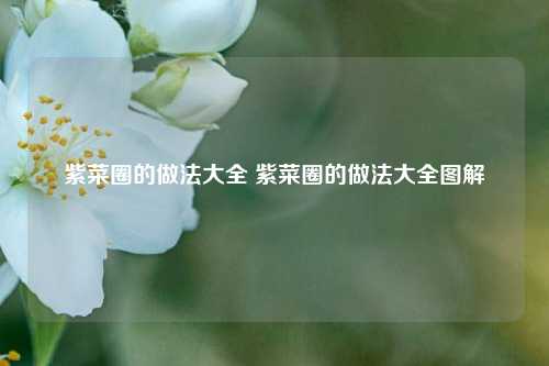 紫菜圈的做法大全 紫菜圈的做法大全图解