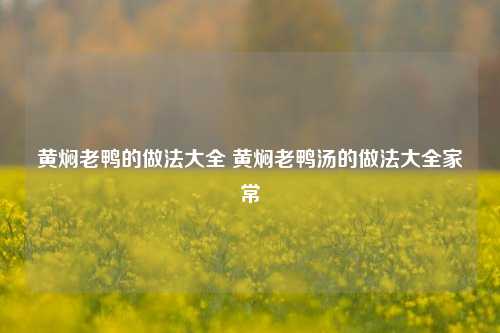 黄焖老鸭的做法大全 黄焖老鸭汤的做法大全家常