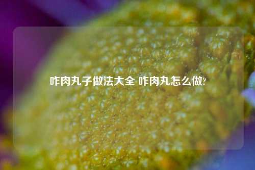 咋肉丸子做法大全 咋肉丸怎么做?