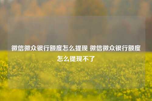 微信微众银行额度怎么提现 微信微众银行额度怎么提现不了