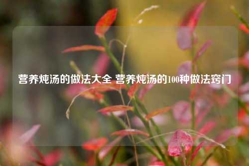 营养炖汤的做法大全 营养炖汤的100种做法窍门