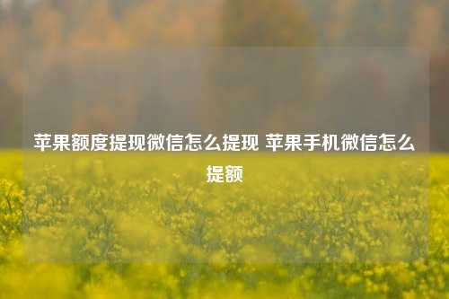 苹果额度提现微信怎么提现 苹果手机微信怎么提额