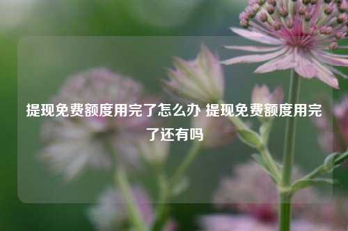 提现免费额度用完了怎么办 提现免费额度用完了还有吗