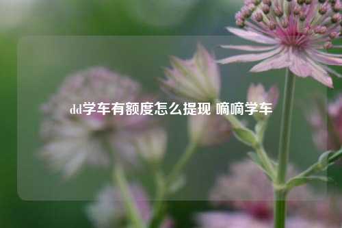 dd学车有额度怎么提现 嘀嘀学车