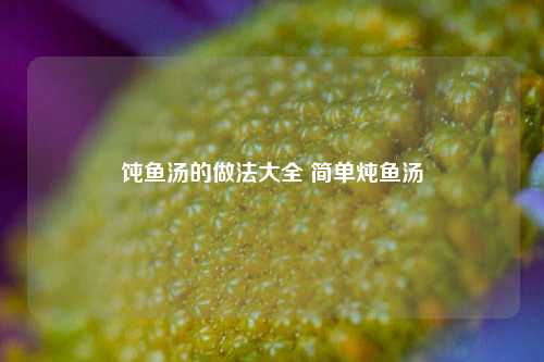 饨鱼汤的做法大全 简单炖鱼汤