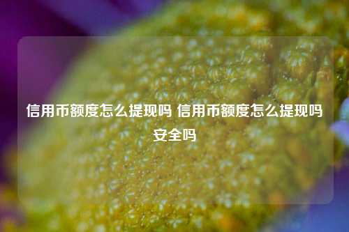 信用币额度怎么提现吗 信用币额度怎么提现吗安全吗